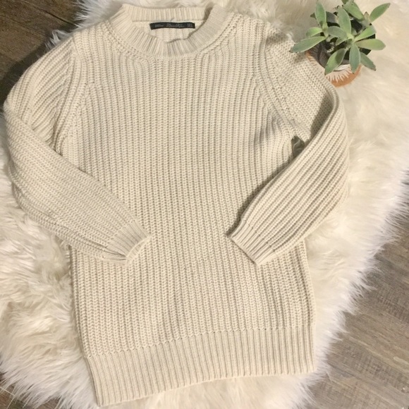 Zara Sweaters - Zara knit sweater